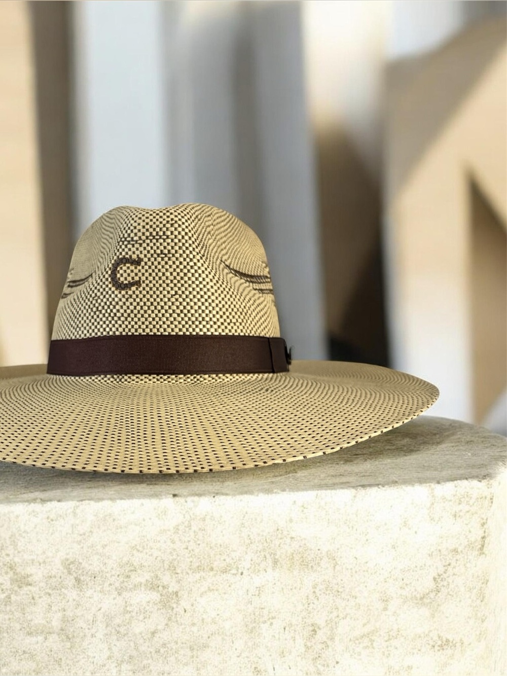 Unisex Beige Straw Sun Hat with Dark Brown Band